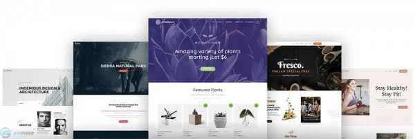 Astra theme - Lựa chọn tốt nhất để tạo trang web nhanh chóng và dễ dàng