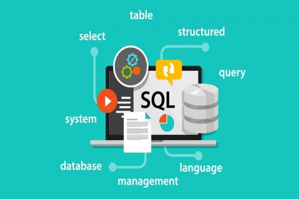Tối ưu hóa hiệu suất MySQL Database trên Hosting (Queries và Indexes)