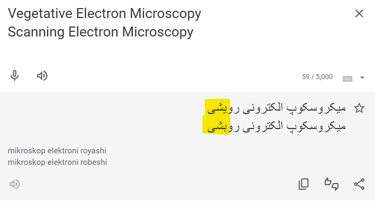 Một "thuật ngữ ma" đã tồn tại 75 năm trên internet, nó đang "ám" vào các mô hình AI, và sẽ còn tiếp tục tồn tại cho đến vĩnh cửu- Ảnh 4.